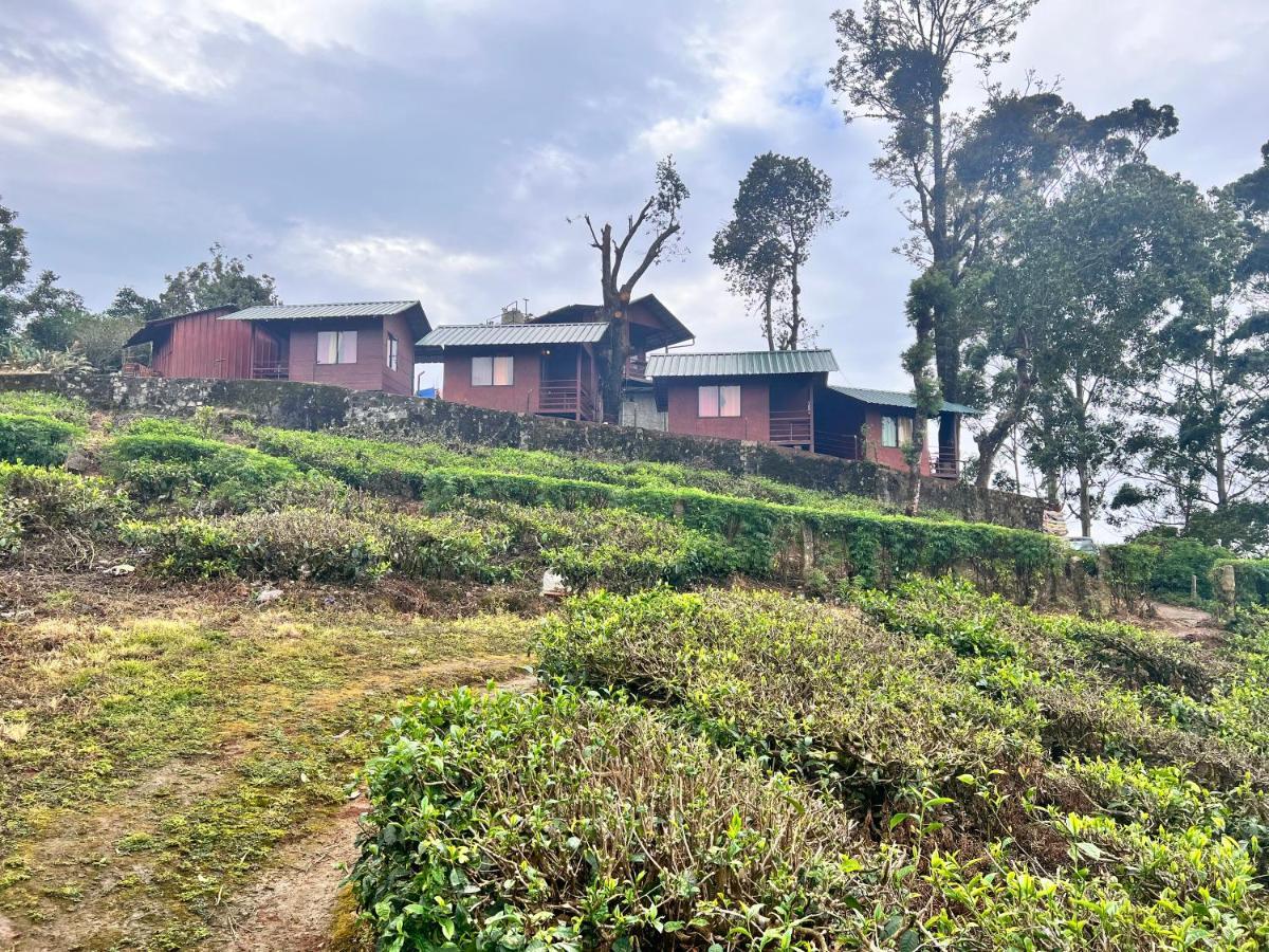 Holacasa Cottages Munnar Exteriér fotografie